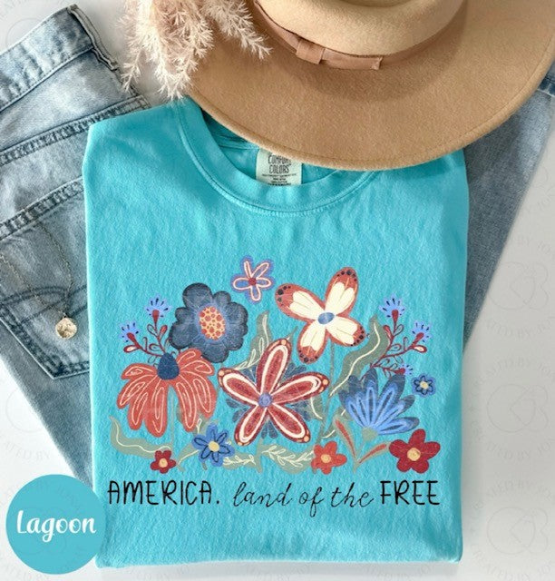 America Land of the Free